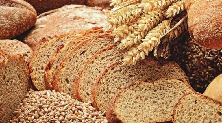 Brot : Wichtige Informationen zu Brot und Rezepten